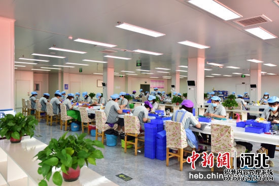 图为河北省沧州市青县一家化妆刷企业内，员工们正在生产线上加紧生产备货。 尹向平 摄